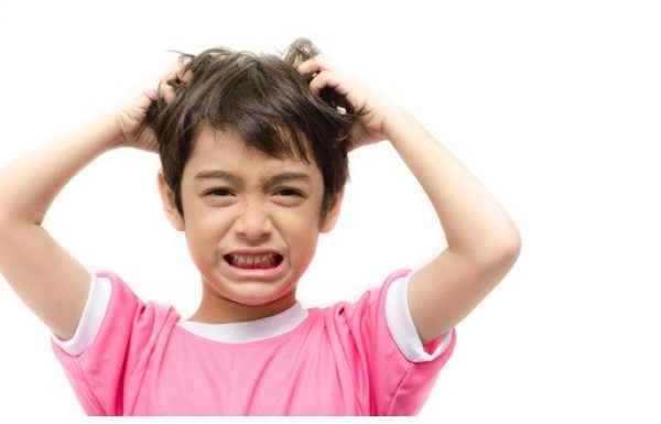 מחסלים את הכינים בטבעיות.