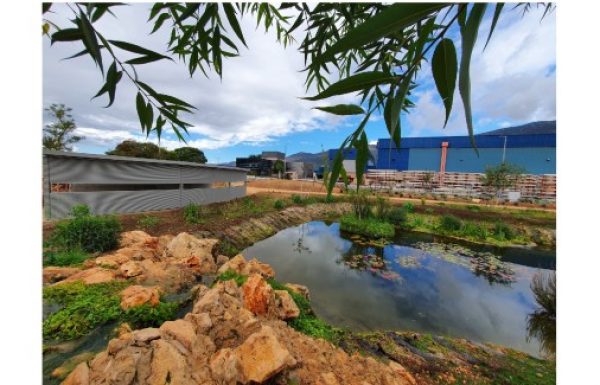 פארק הפרפרים הראשון בישראל.