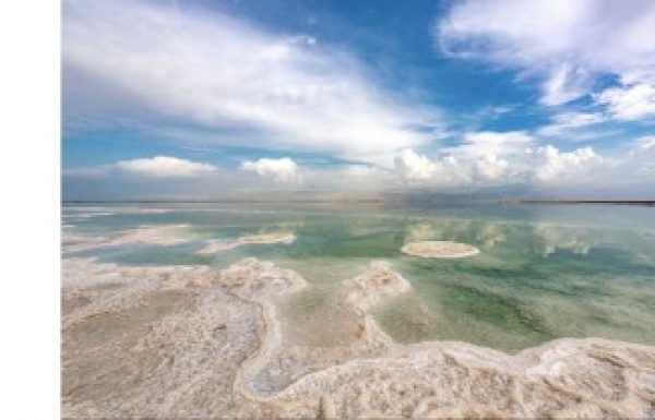 Dead Sea Life  2021 – תחרות צילומים בינלאומית.